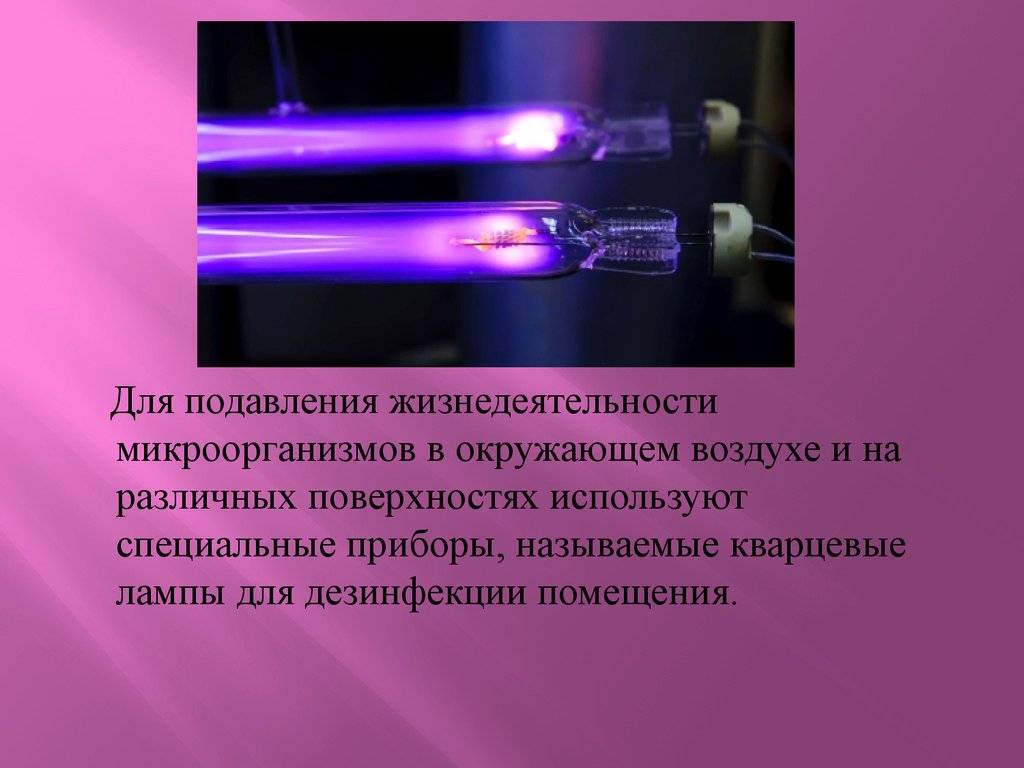Как работает лампа от плесени – правила удаления грибка ультрафиолетом