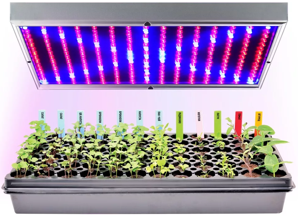 Фитолампы — светодиодные лампы для растений