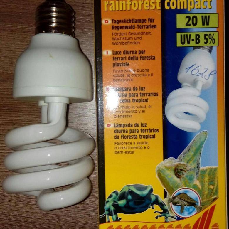 Выбор ультрафиолетовой лампы для красноухой черепахи