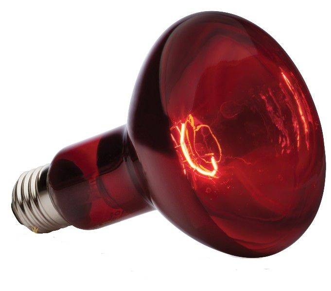 Инфракрасные лампы как средство отопления