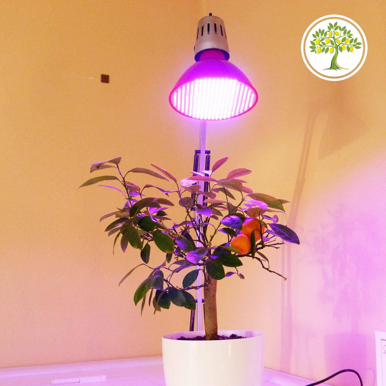 Светодиодные лампы для растений и комнатных цветов