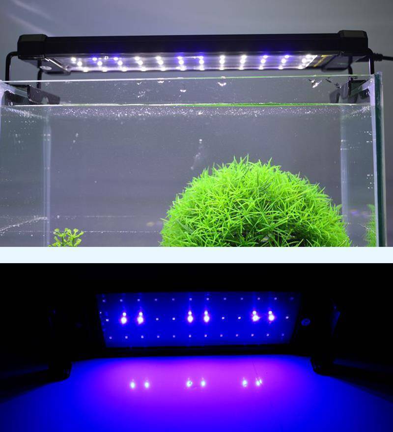 Подсветка аквариума светодиодной лентой