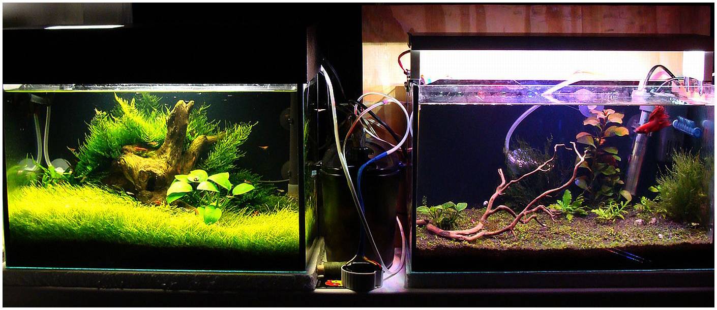 Освещение аквариума светодиодными прожекторами: как подобрать, рассчитать, закрепить и сделать самому светильник для аквариума и травника > свет и светильники