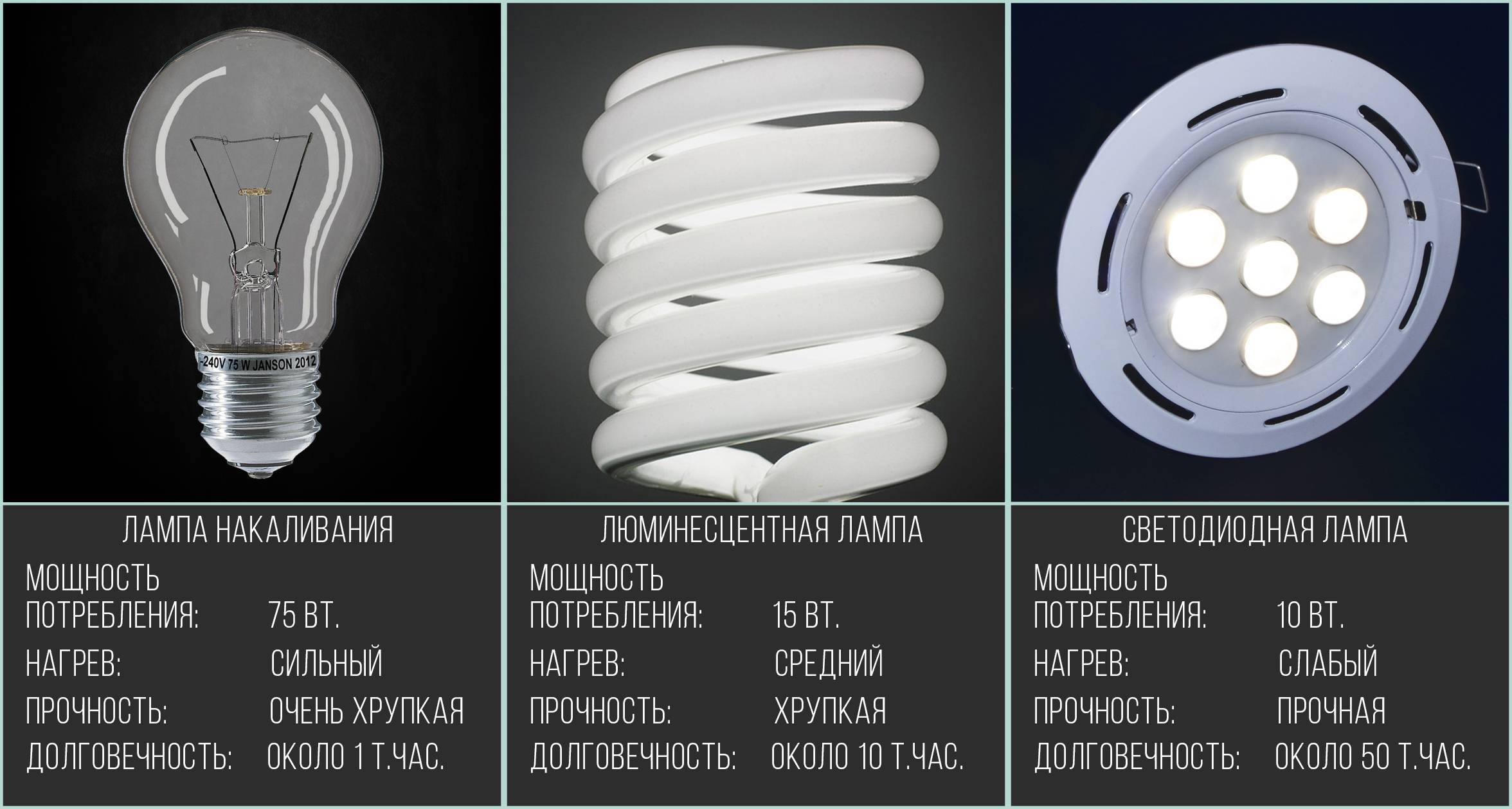 Светодиодные лампы: чем отличаются от обычных и как выбрать лучшую | яблык: технологии, природа, человек