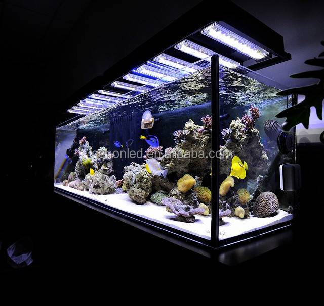 Светильник для аквариума: как правильно выбрать и где расположить