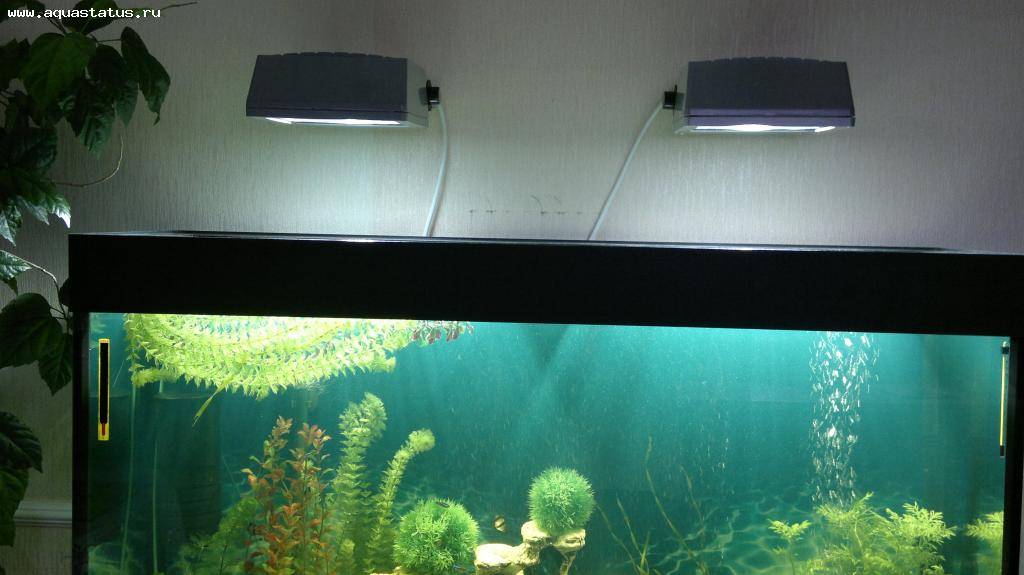 Cветодиодные светильники для аквариума (освещение, подсветка): светодиоды, лампы, led (лед), прожекторы, ленты, расчет