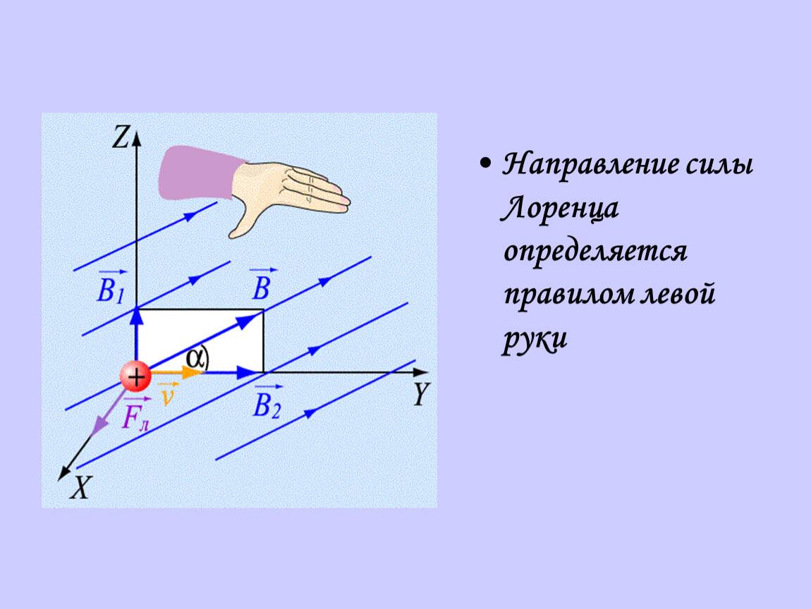 Сила лоренца просто и понятно: определение, формула, правило левой руки