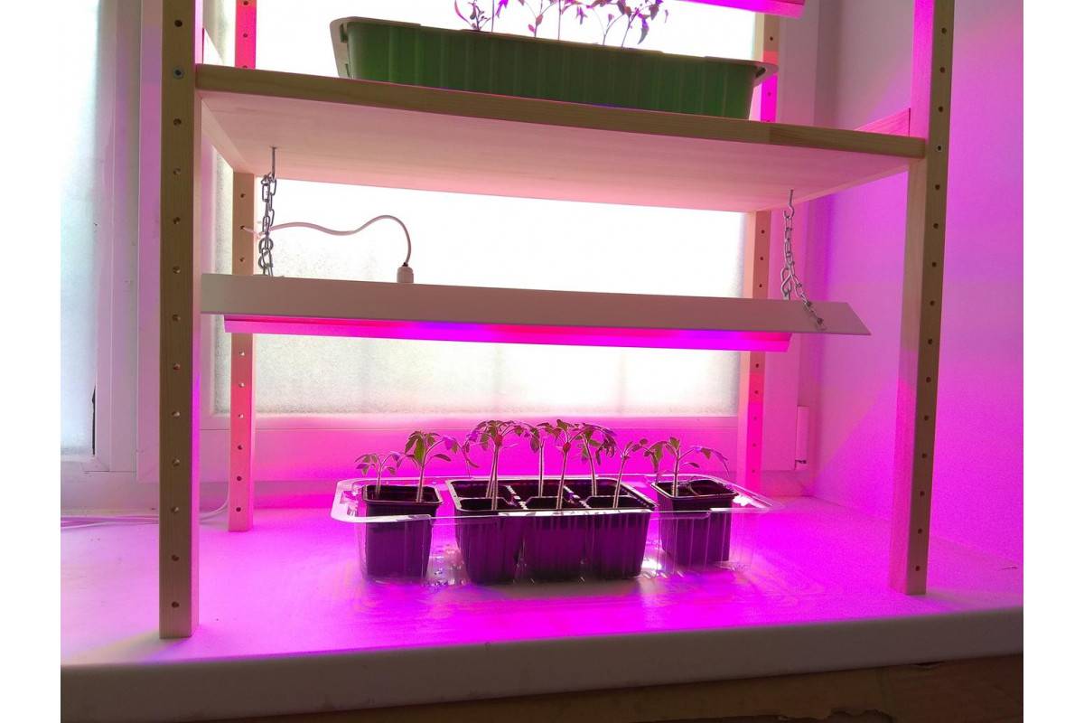 Фитолампа своими руками: как сделать в домашних условиях светильник для растений из светодиодов