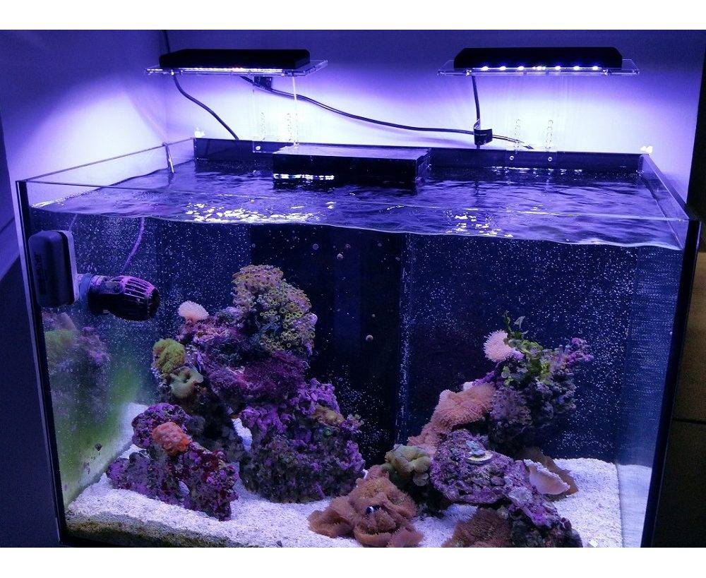 Выбор подсветки для аквариума и как сделать самостоятельно