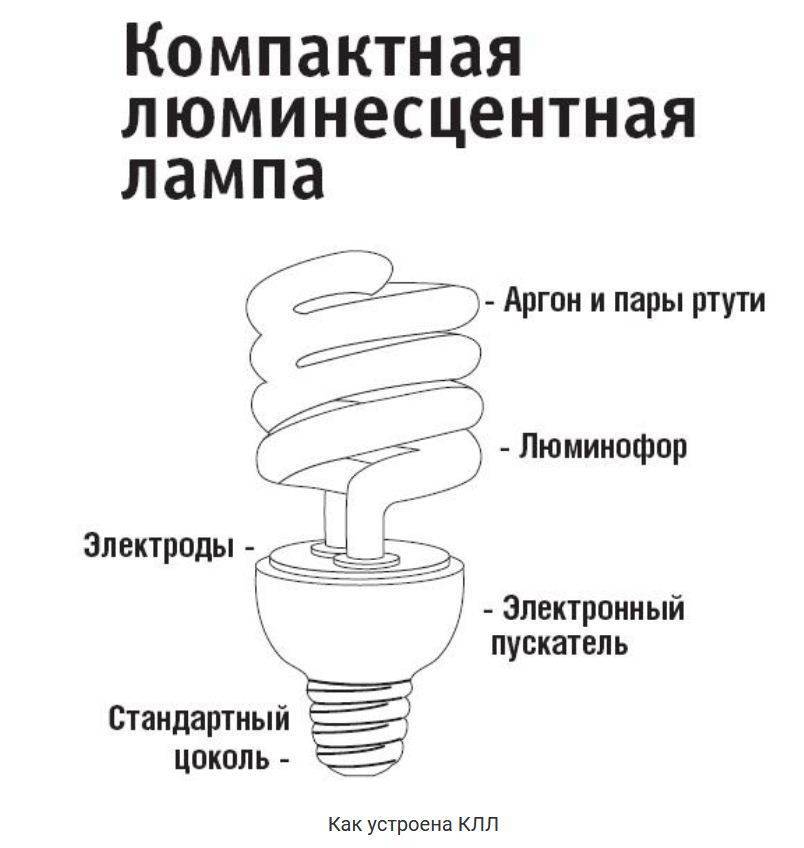 Энергосберегающие лампы: виды, цены и различия