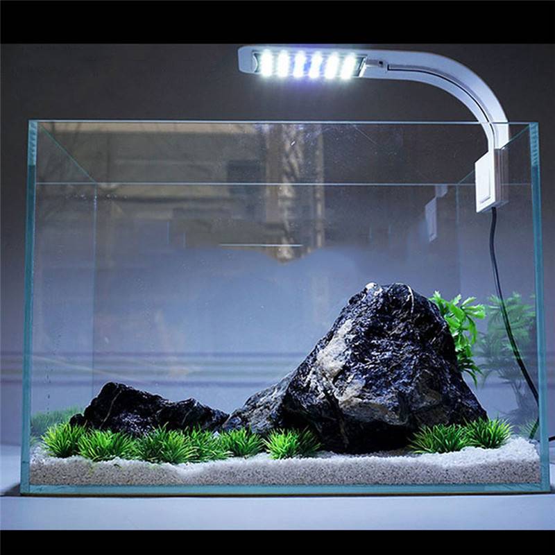 Светодиодные светильники для аквариума (лампы, ленты, прожекторы) – рейтинг производителей