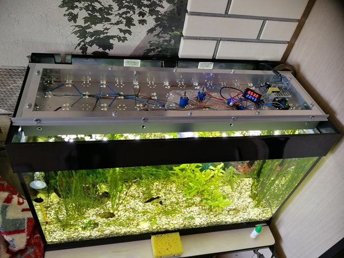 Светодиодная лента для аквариума: какую выбрать, оптимальное для рыб и растений