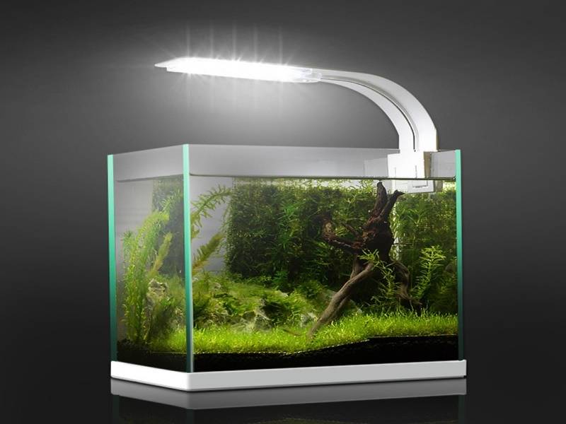 Как правильно выбрать led светильник для аквариума: лампа, лента или прожектор