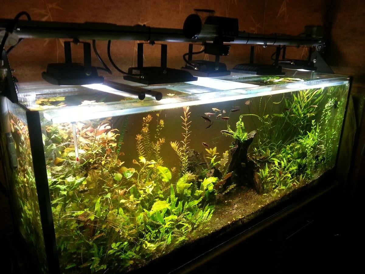 Освещение для аквариума своими руками: светодиодное и др., (фото-идеи)