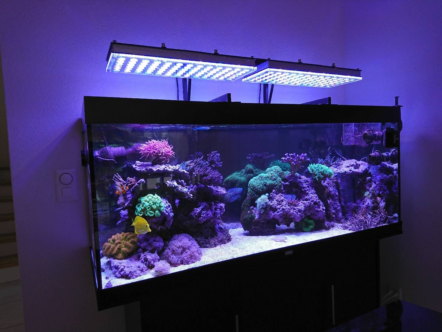 Cветодиодные светильники для аквариума (освещение, подсветка): светодиоды, лампы, led (лед), прожекторы, ленты, расчет