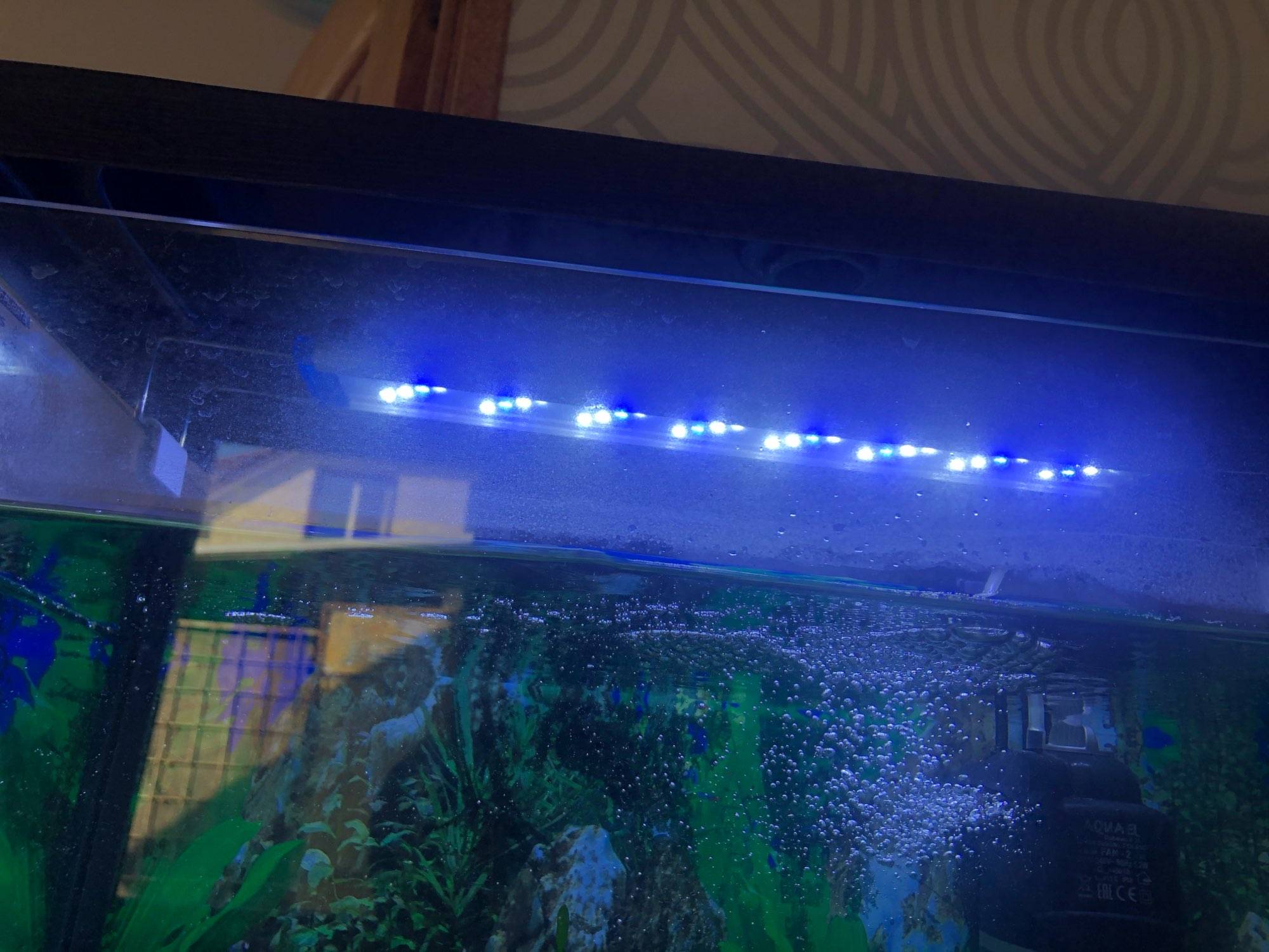 Освещение для аквариума (аквариумный свет): время работы, какой лучше, сколько света, как подобрать, расположение подсветки
