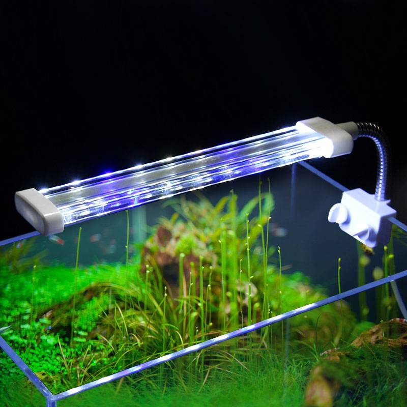 Как создать правильное светодиодное освещение в аквариуме