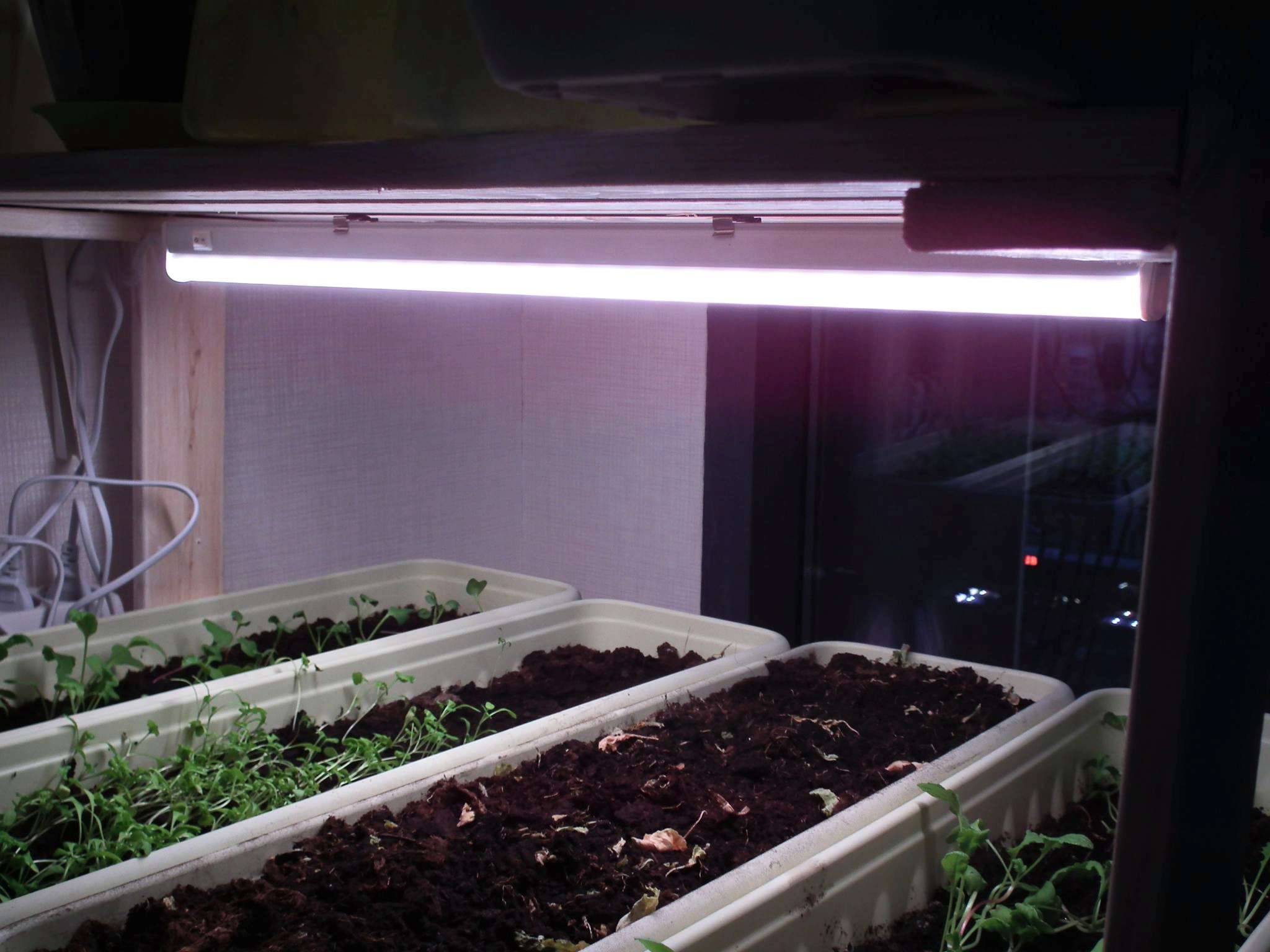 Лампы освещения для растений: особенности выбора и подключения