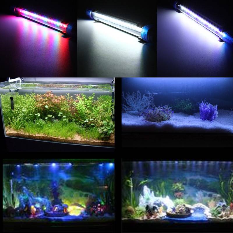 Светодиодные лампы для аквариума: освещение растений и пресноводных жителей