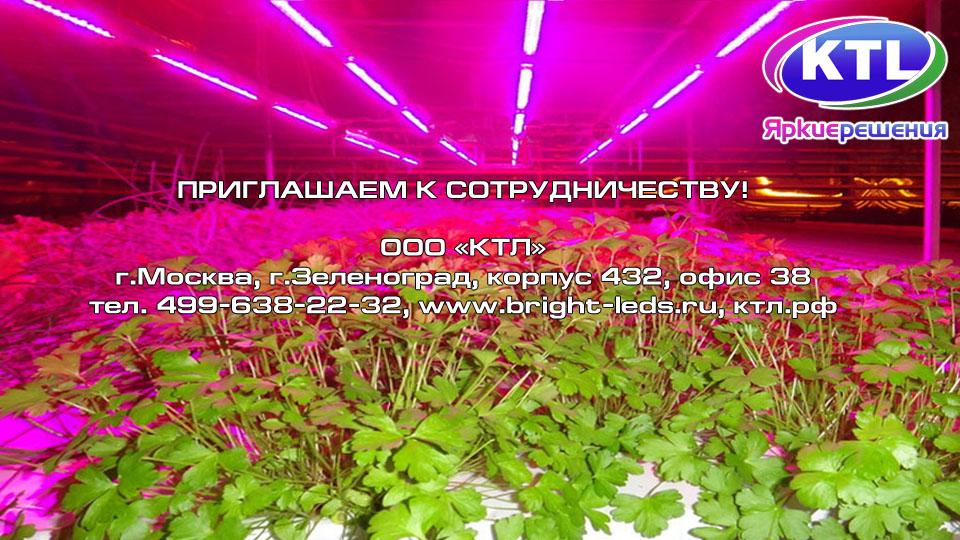 Как выбрать фитолампу для рассады и растений - расчет мощности, высота подвеса, выбор спектра.