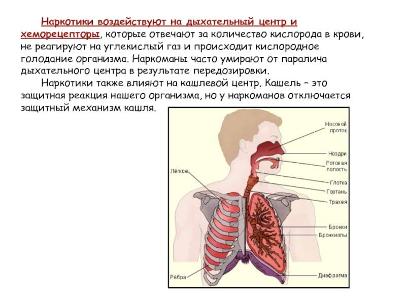Влияние заболеваний желудочно-кишечного тракта на верхние дыхательные пути | eurolab | научные статьи