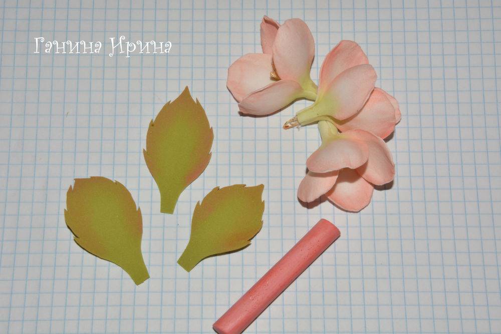 Выкройки цветов из фоамирана: распечатать своими руками трафареты, лепестков фото и шаблоны для сакуры
