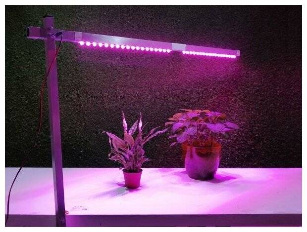 Фитолампа для растений своими руками из светодиодной ленты — как сделать и для чего нужна, какие фитолампы для рассады лучше