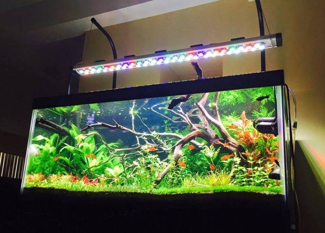 Светодиодные светильники для аквариума (лампы, ленты, прожекторы) – рейтинг производителей