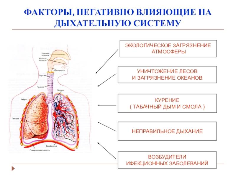 Минеральная вата: пагубное влияние на органы дыхания