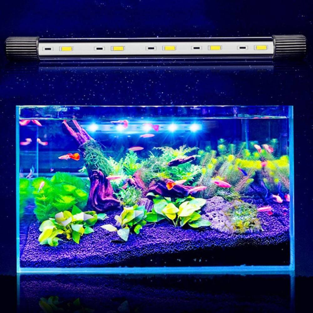 Лампы и светильники для аквариума: как установить, какие выбрать, рейтинг