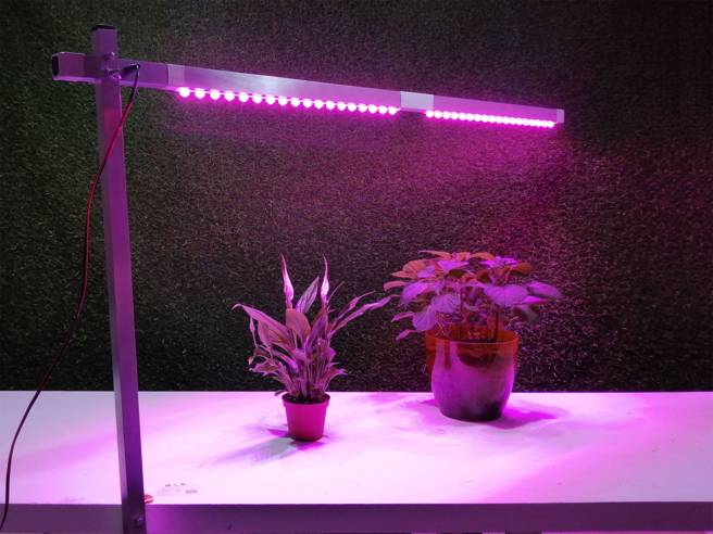 Обзор вариантов освещения для растений