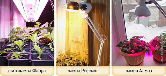 Особенности лампы для выращивания рассады в домашних условиях